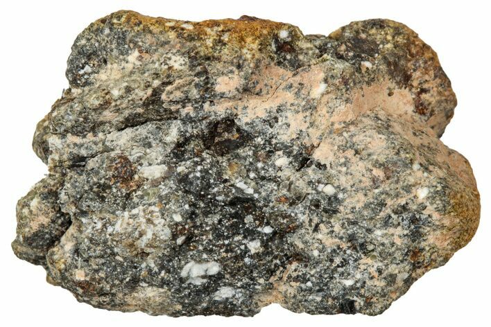 Howardite Meteorite ( g) - Bechar #348288